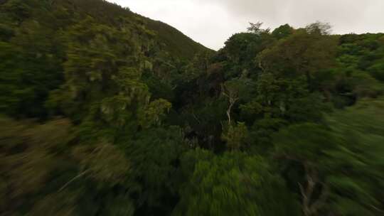 FPV穿越机无人机航拍森林瀑布绿色树林天空
