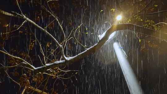 城市夜晚下大雪