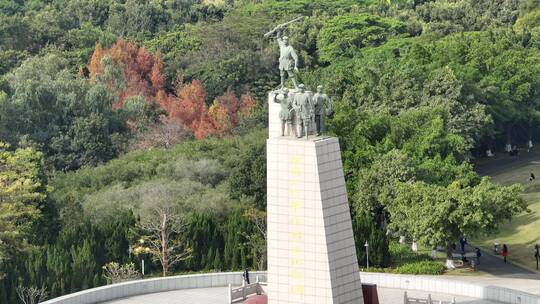 红花岭公园落羽杉 龙岗人民革命烈士纪念碑