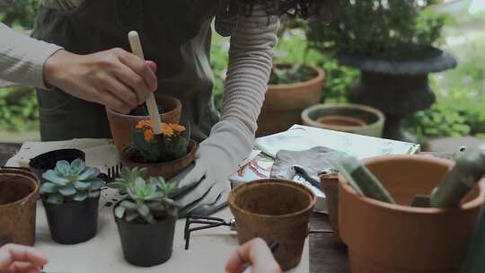 一个女人种植多汁