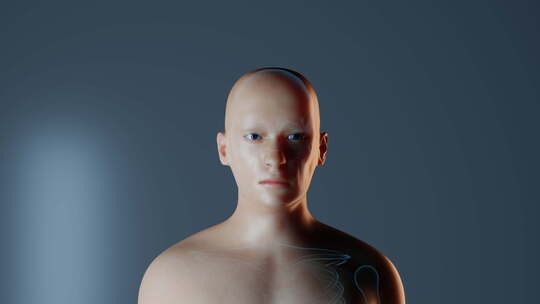 男性人体甲状腺功能视频素材模板下载