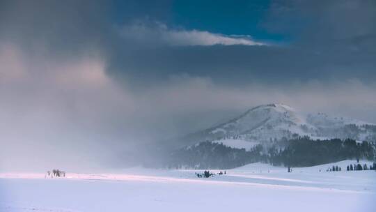 冬季雪地雪山风雪延时风景云雾缭绕