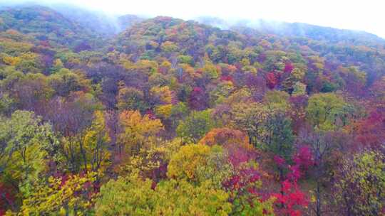 航拍吉林拉法山国家森林公园蛟河红叶谷秋景