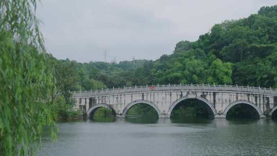 公园湖泊拱桥视频素材模板下载