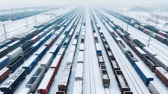 雪中铁轨上停放众多货运火车