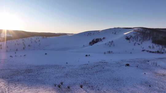 银色呼伦贝尔冬季丘陵白桦林雪景