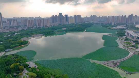 湖北武汉月湖风景区汉江桥航拍龟山电视塔城