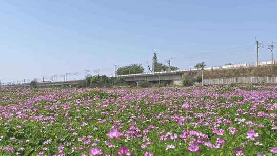 高铁动车列车高铁经过春天春暖花开田野乡村