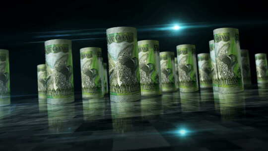圭亚那元钞票卷无缝循环