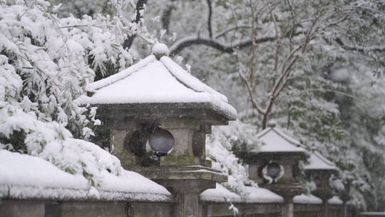 唯美主色古香的雪景