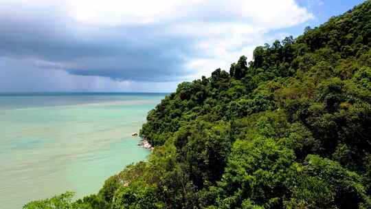 马来西亚槟城槟城国家公园森林中蓝色大海和茂密树木的鸟瞰图。