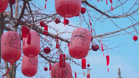 杭州西湖钱王祠新年祈福红灯笼