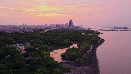 上海吴淞炮台湾国家湿地公园