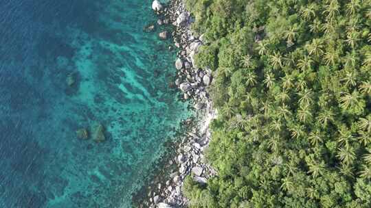 泰国涛岛芒果湾海滩鸟瞰垂直清水丛林热带目