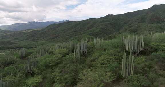 墨西哥特华坎生物圈保护区，国家保护区，生