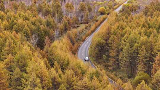 快进X10 航拍大兴安岭金色秋天