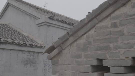 中国东北老村镇上的老房子LOG素材