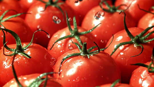 美丽的红色番茄水珠新鲜