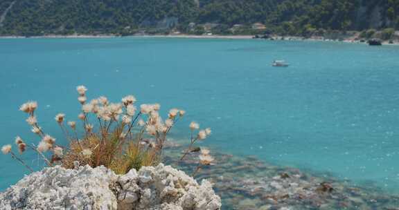 Lefkas，希腊，Nikitas，Ag