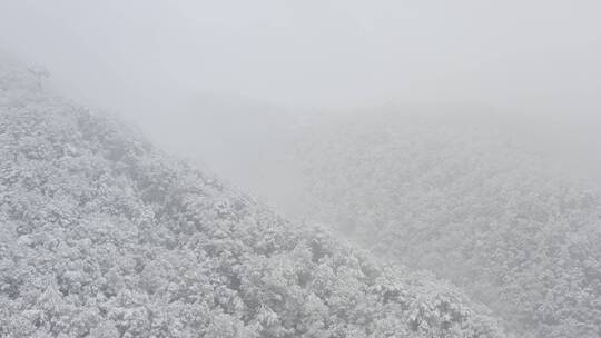 杭州灵隐雪下雪航拍