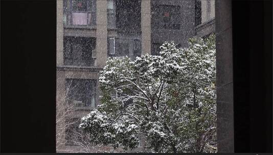 2023年郑州第一场雪景