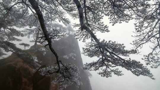 冬天唯美下雪场景