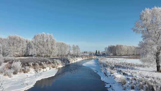 大兴安岭初冬湿地河流雪松美景