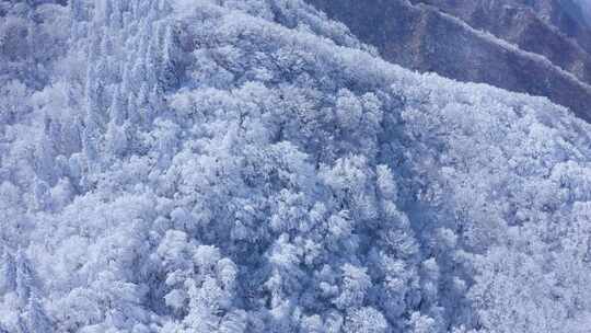 秦岭分水岭  冰雪世界