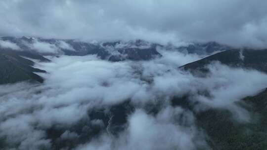 四川甘孜清晨被雾笼罩的稻城亚丁高山风景