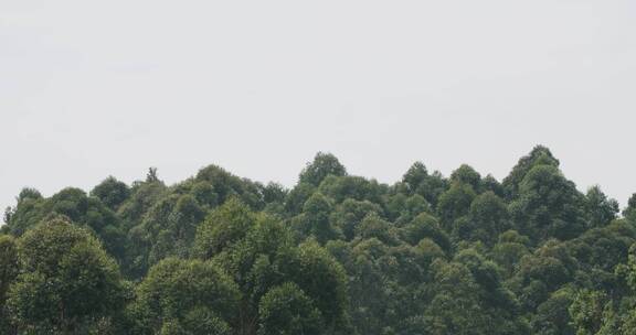 飞机离开降落出国留学海归回国