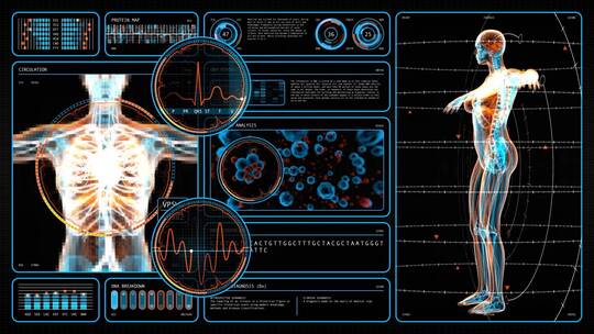 女人体结构科技数据HUD