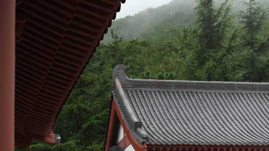 古建筑屋檐下雨空镜头大雨小雨雨季谷雨惊蛰