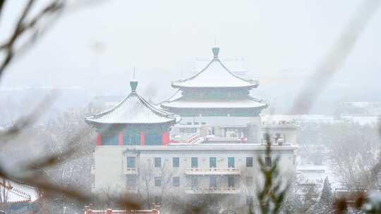 北京景山公园冬季下雪天风光视频素材模板下载