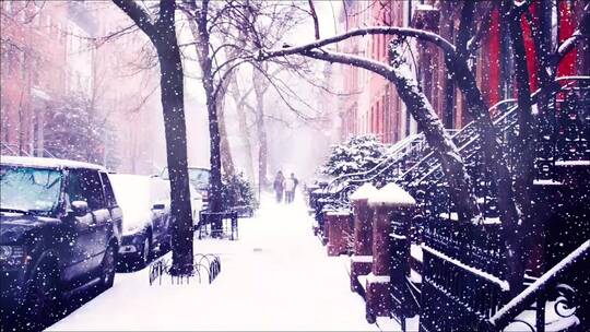雪花暴雪飘落在夜晚城市街头街道马路