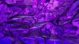水族馆的鱼高清在线视频素材下载