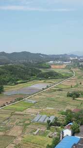 竖版航拍南方美丽乡村田园农田