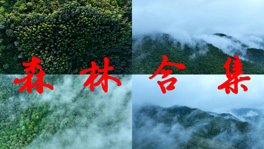 森林俯拍树林云雾山林云海绿色生态大自然高清在线视频素材下载