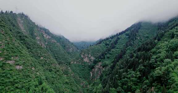 林场高山峡谷航拍