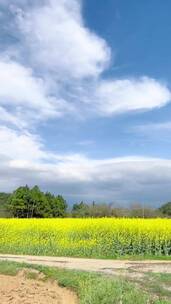 自然风光，治愈系风景，一起享受大自然的美