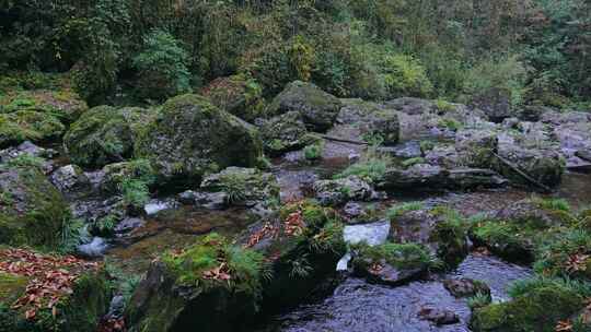 一堆青苔石头小溪溪流