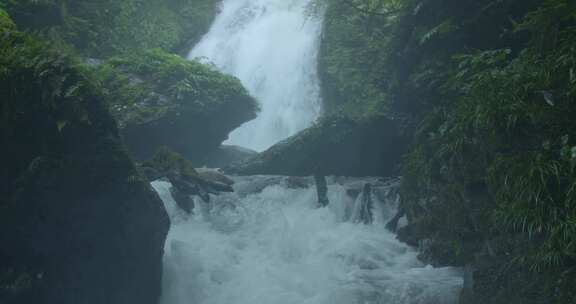 高清实拍小溪流溪水大自然森林