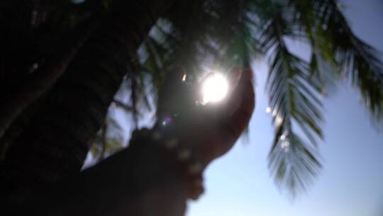 伸手抓住阳光椰子树下海岛生活三亚
