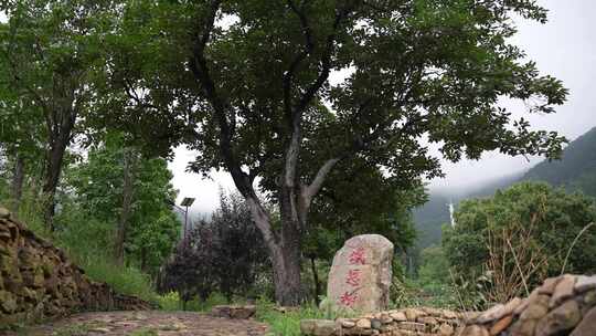 山东临沂沂蒙红嫂祖秀莲纪念馆