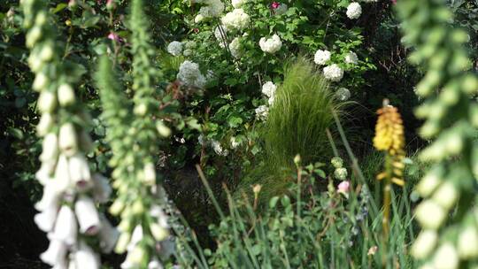 花园花香花巷绿植花海