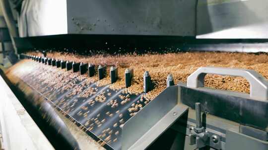 自动化谷物加工机械在行动工业谷物加工设备