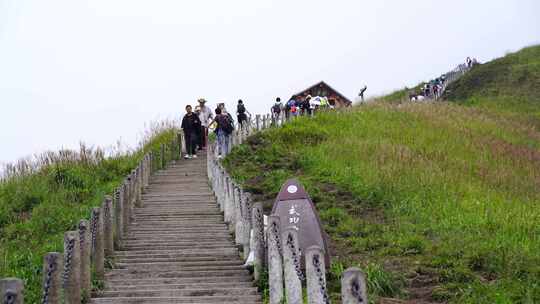 清晨爬山登山上楼梯背影脚步特写森林爬楼梯