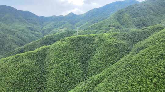 平塘马安竹海航拍 竹林森林云海