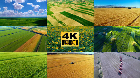 航拍农田 玉米 小麦 棉花 葵花 乡村振兴
