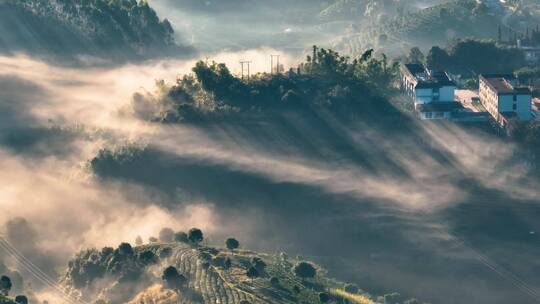 航拍云雾中的茶山