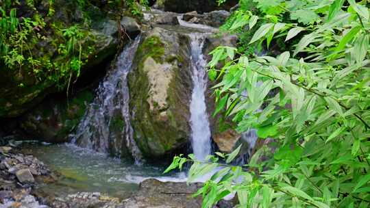 （合集）森林河水河谷溪流瀑布